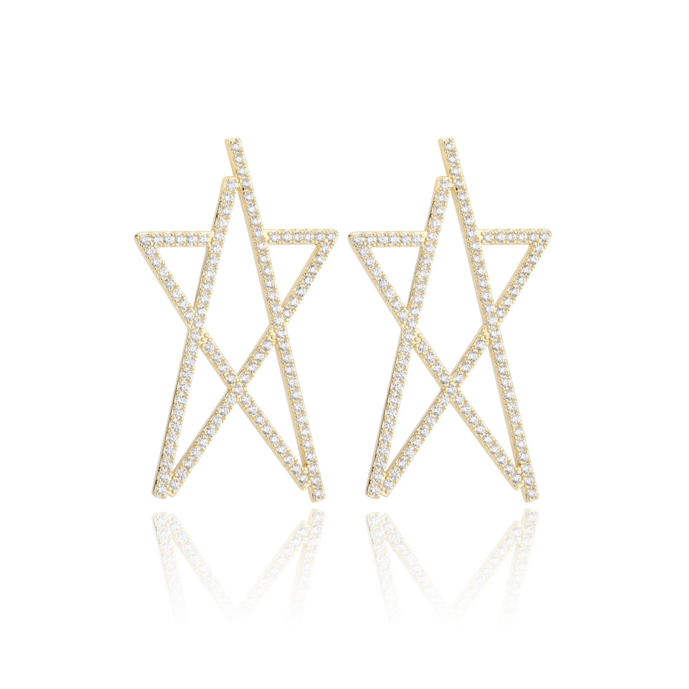 CLARA Earrings | Vintage Havana Women