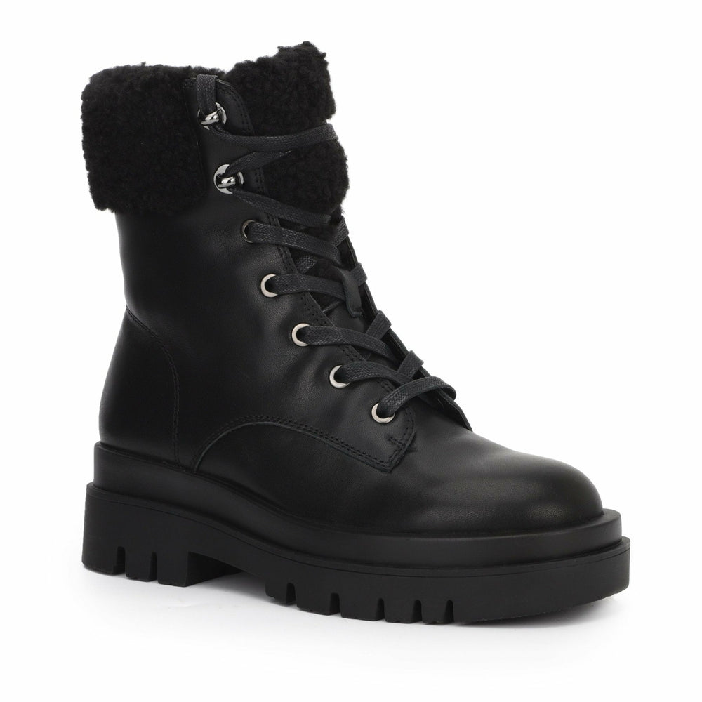 ARMORY - BLACK | Vintage Havana Women