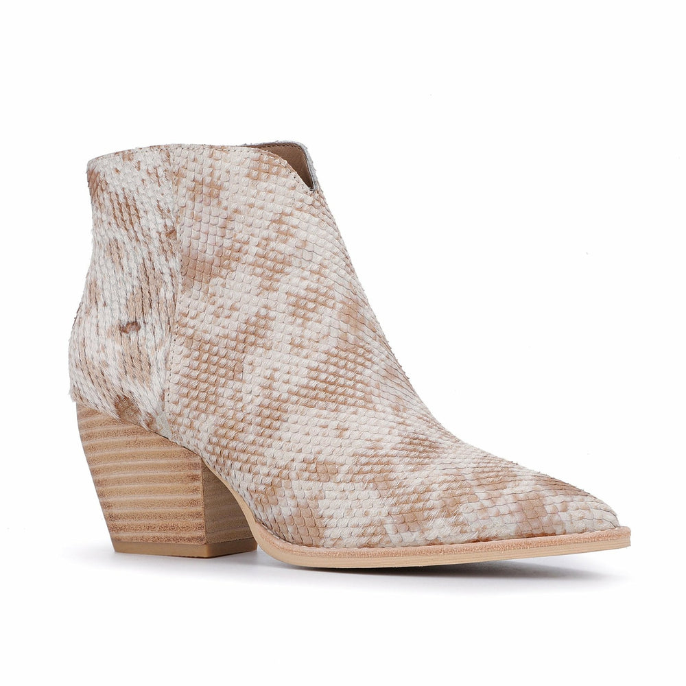 CASSIDY - SNAKE MULTI | Vintage Havana Women