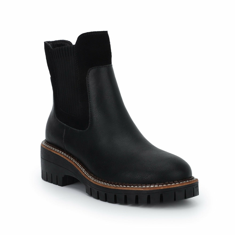 EAGLE - BLACK | Vintage Havana Women