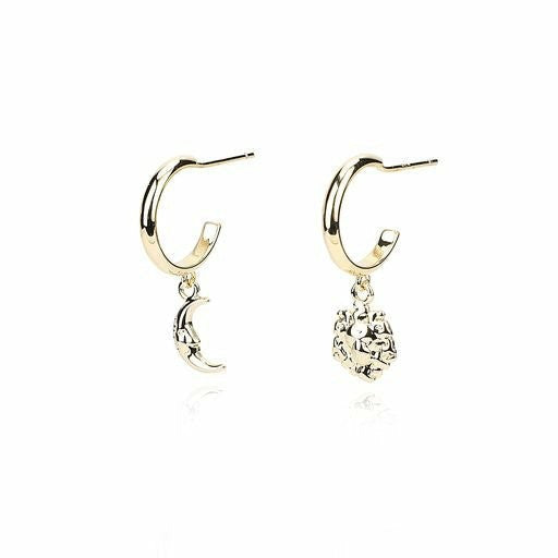 HARMONY EARRINGS | Vintage Havana Women