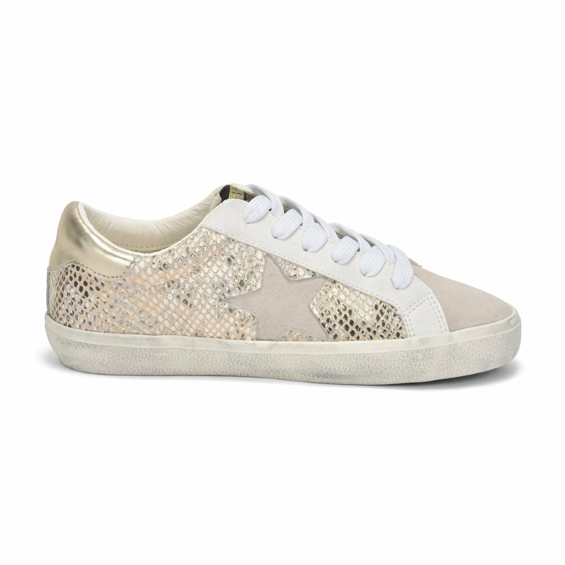 KATE - GOLD SNAKE | Vintage Havana Women