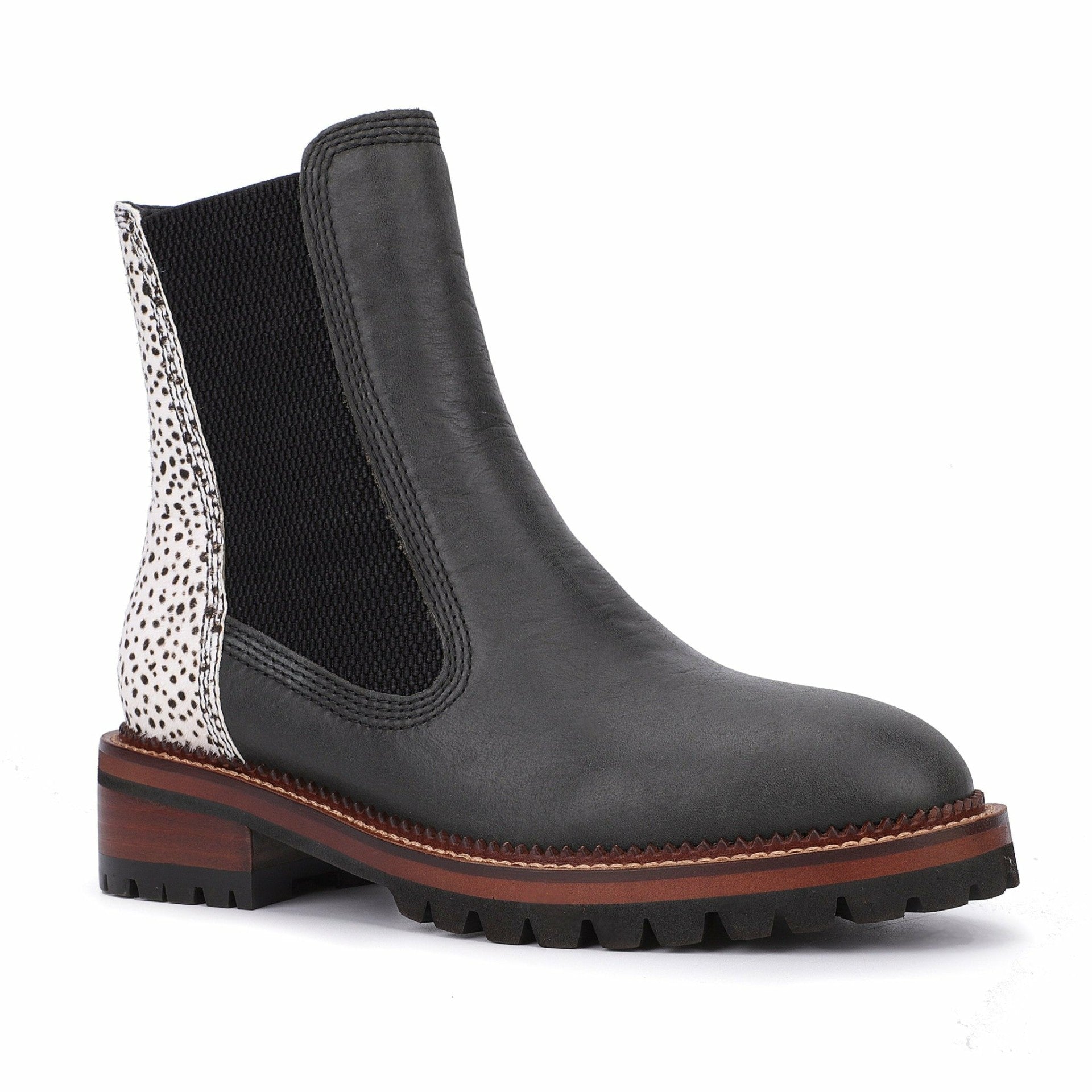 Fairview - Black Wild Cheetah | Vintage Havana Women