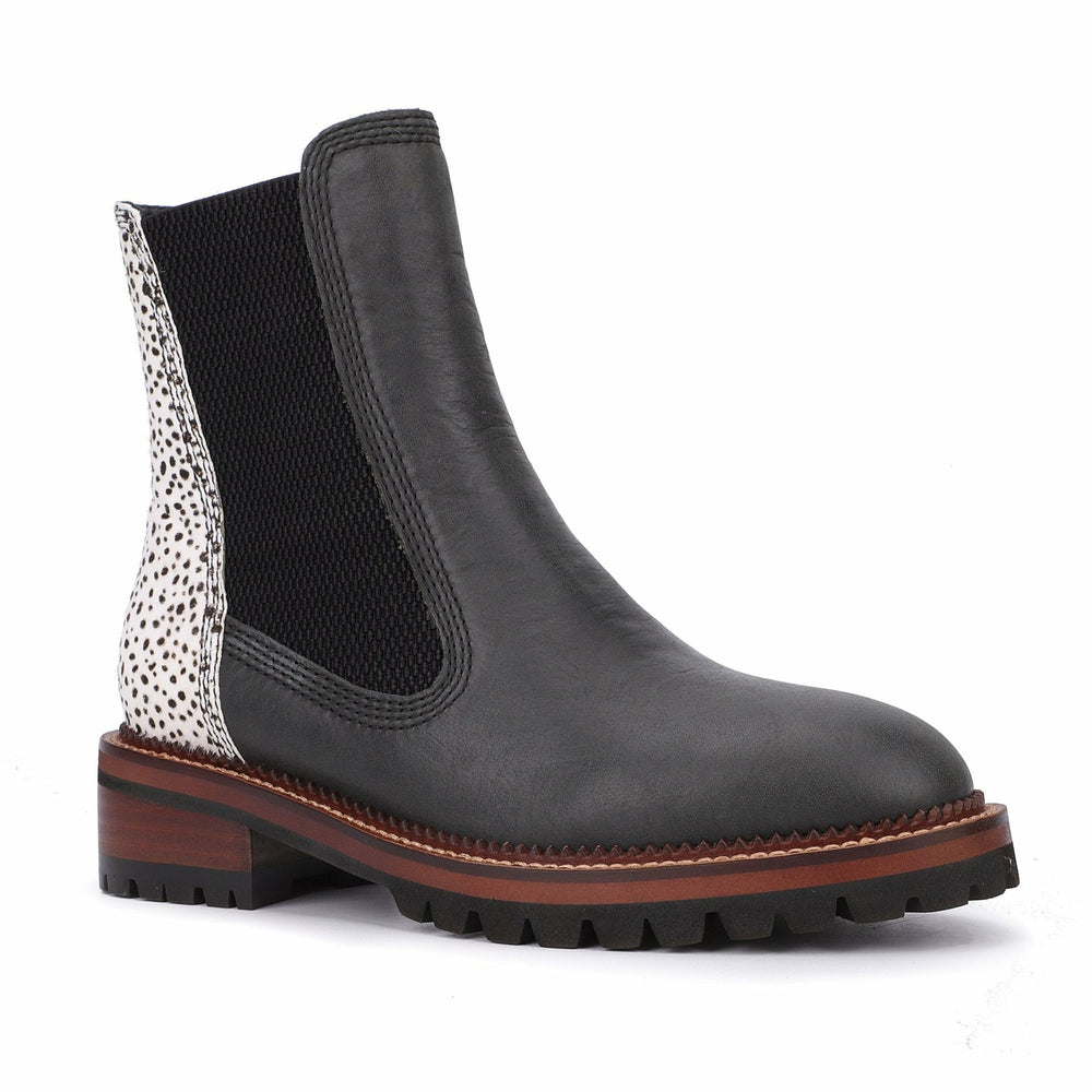Fairview - Black Wild Cheetah | Vintage Havana Women
