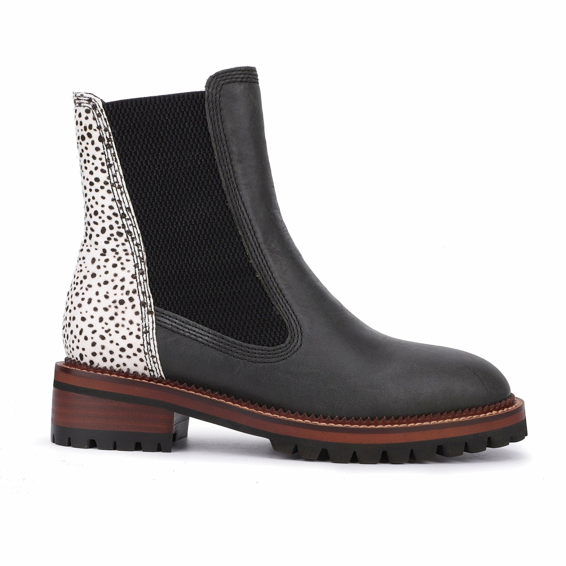 Fairview - Black Wild Cheetah | Vintage Havana Women