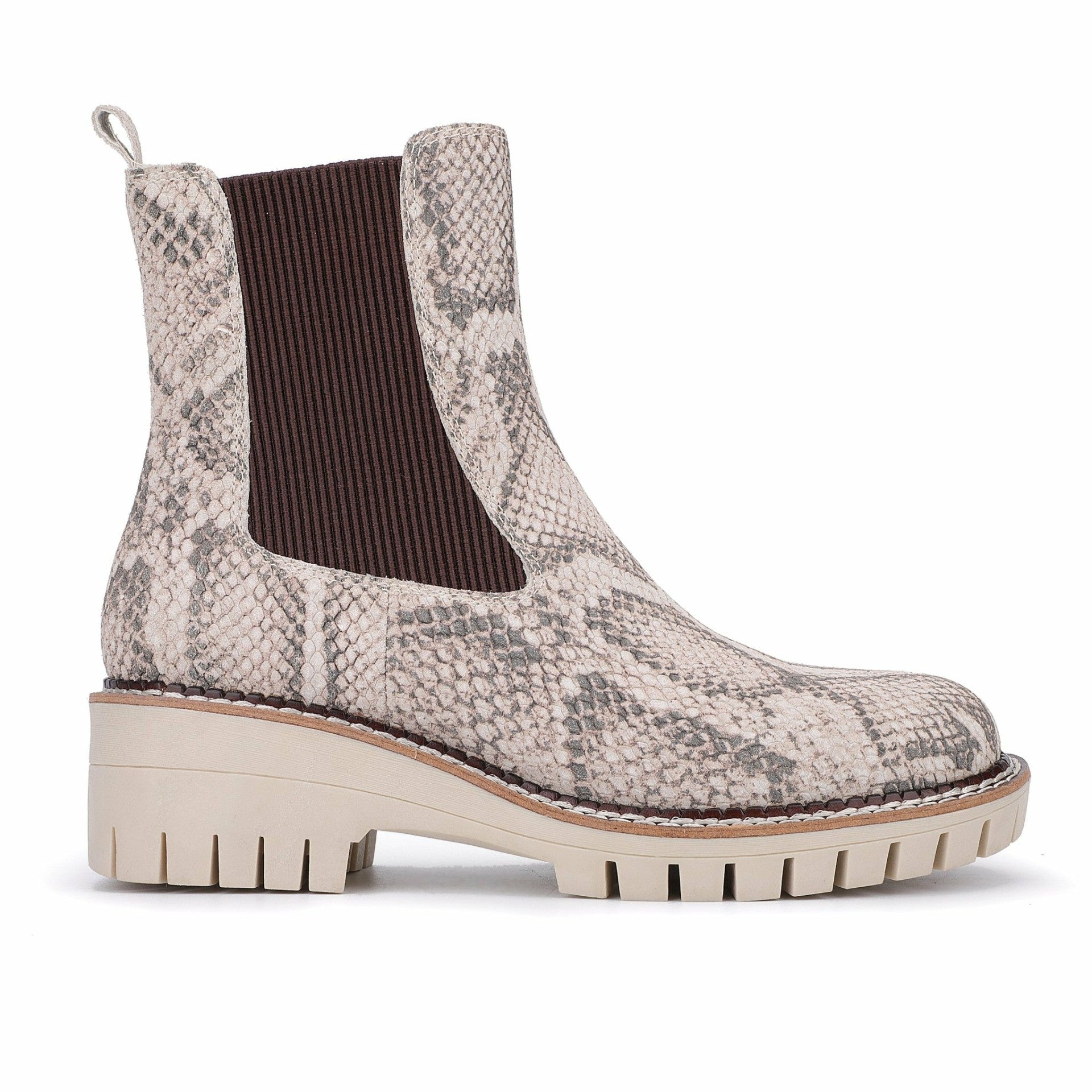Albany - Snake | Vintage Havana Women