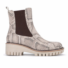 Albany - Snake | Vintage Havana Women