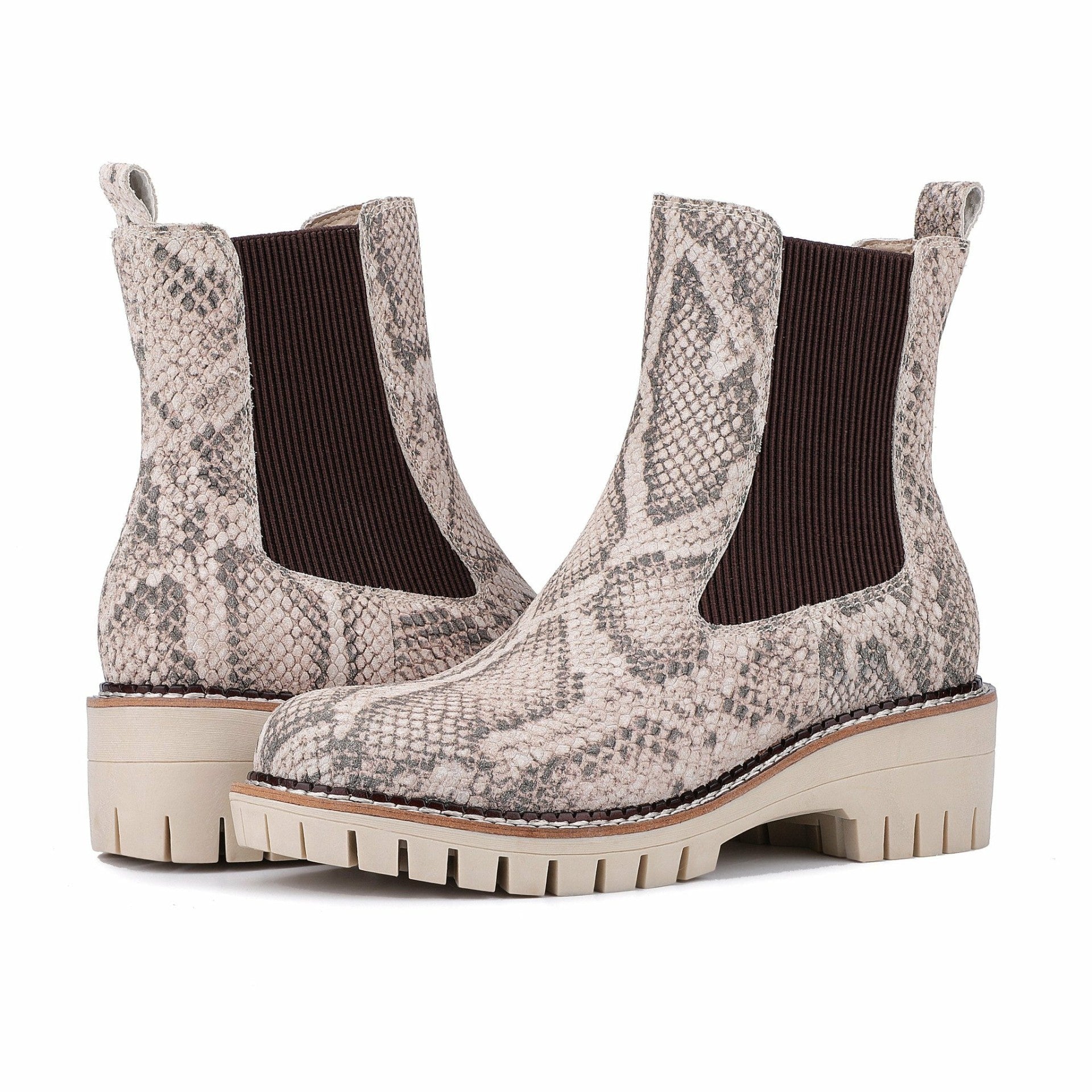 Albany - Snake | Vintage Havana Women