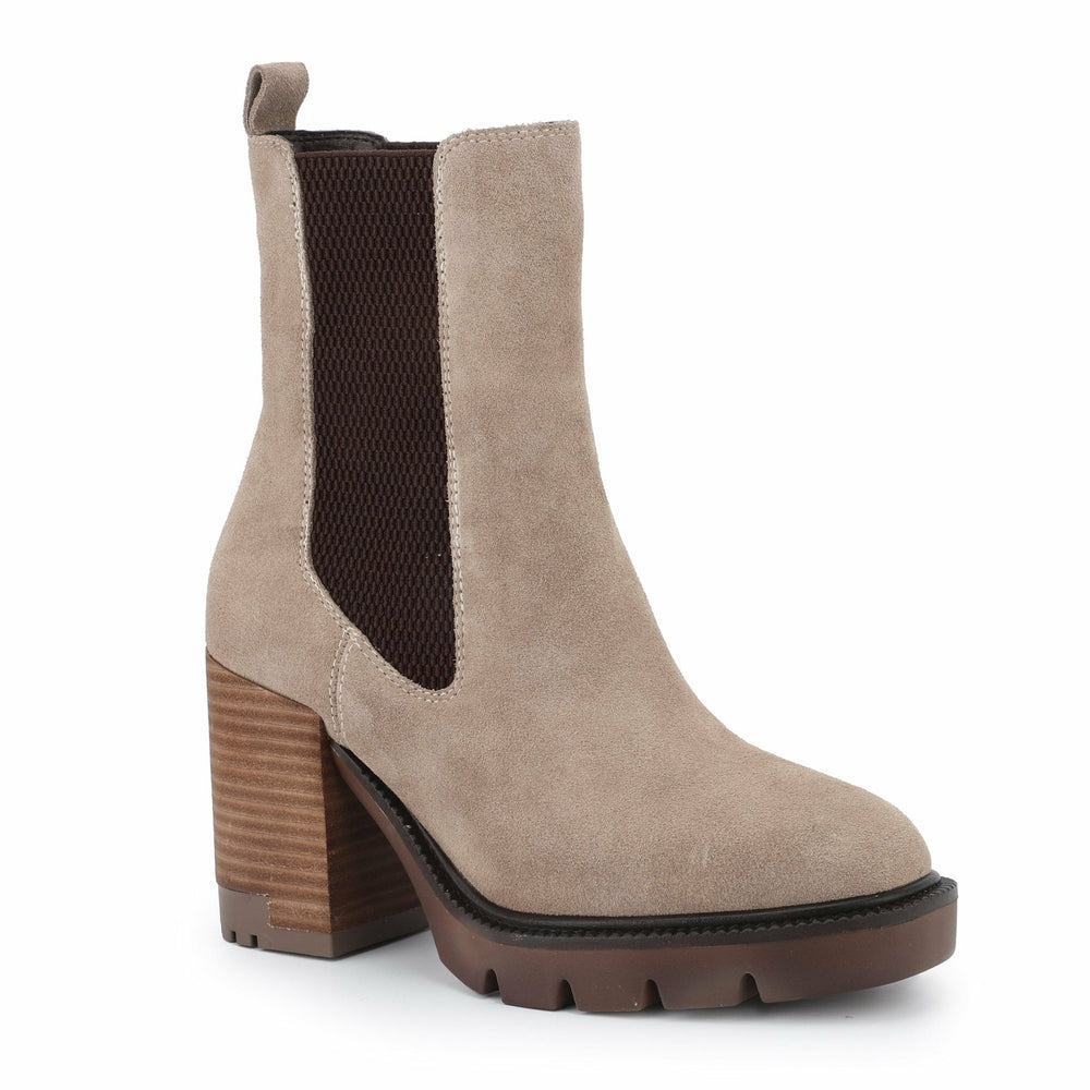 BRAYTON - TAUPE | Vintage Havana Women