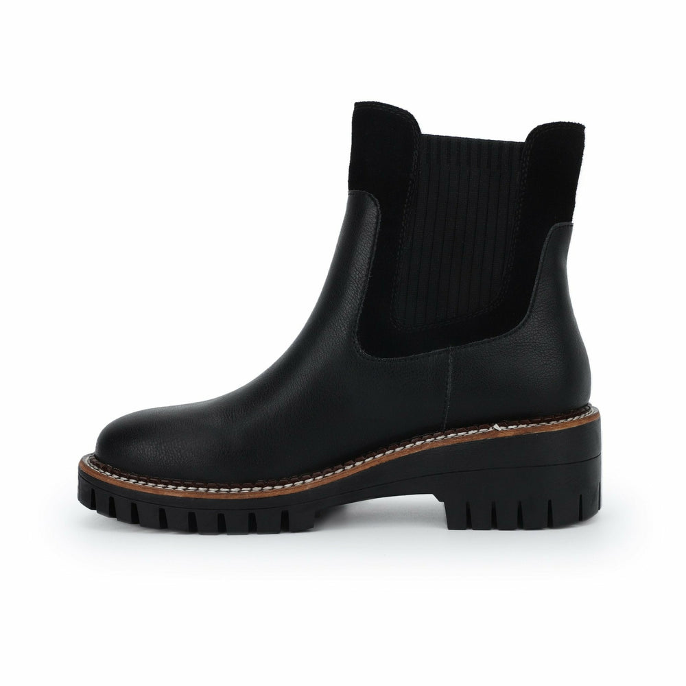 EAGLE - BLACK | Vintage Havana Women